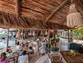 Lido | Cocina de Playa Playa del Carmen